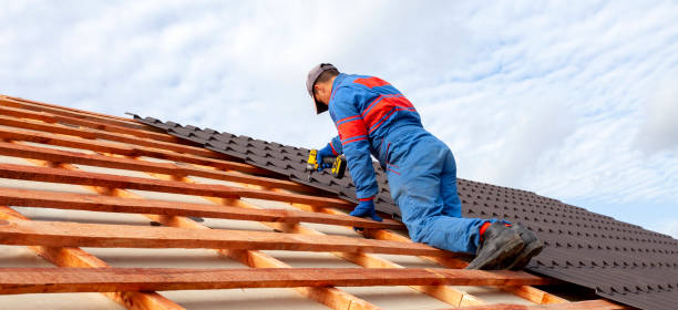 Best Asphalt Shingle Roofing  in Malta, MT